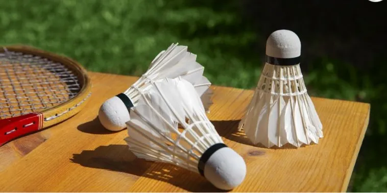 Cách Chơi Cá Cược Cầu Lông Tại Max10 Dễ Thắng Nhất