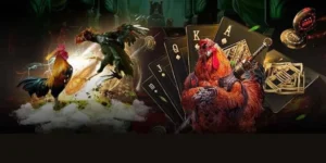 Cách Chơi Đá Gà GA28 Tại Max10 Đỉnh Cao Dễ Thắng Lớn